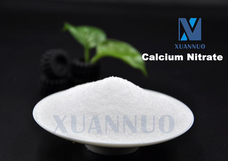 Nitrato de calcio CAS 13477 - 34 - 4 